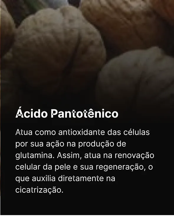 11 - Ácido Pantotênico