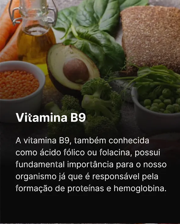 14 - Vitamina B9