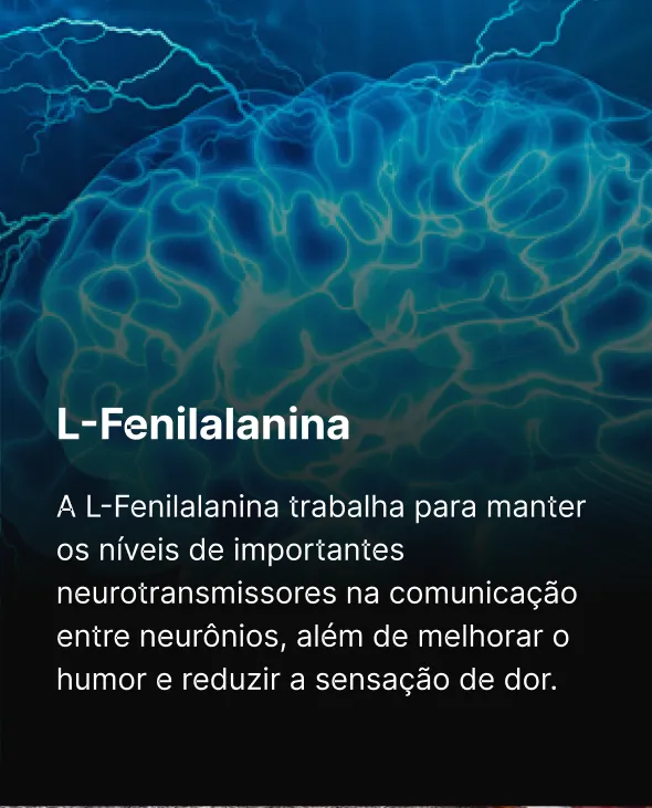 15 - L-Fenilalanina