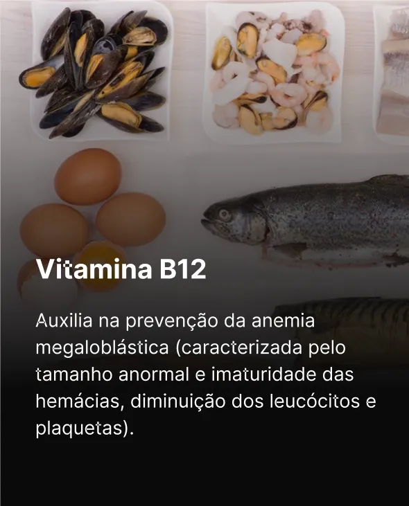 3 - Vitamina B12